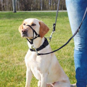 Trixie dog harness top trainer anti-pull harness black