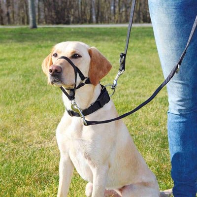 Trixie dog harness top trainer anti-pull harness black